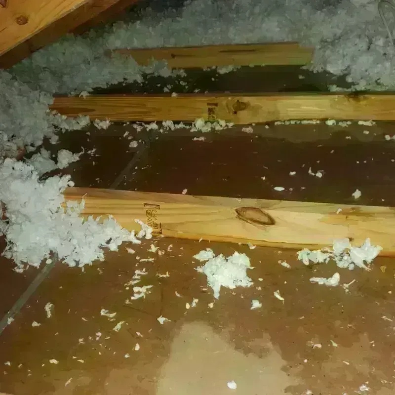 Attic Water Damage in Stowe, PA